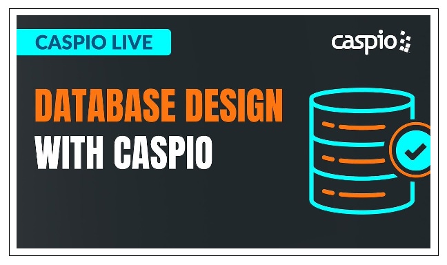 Caspio database interface